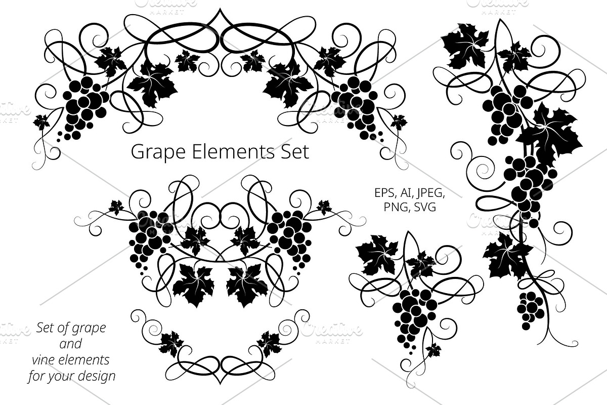 Set of grape and vine elements., a Decorative Illustration by VetaDesign