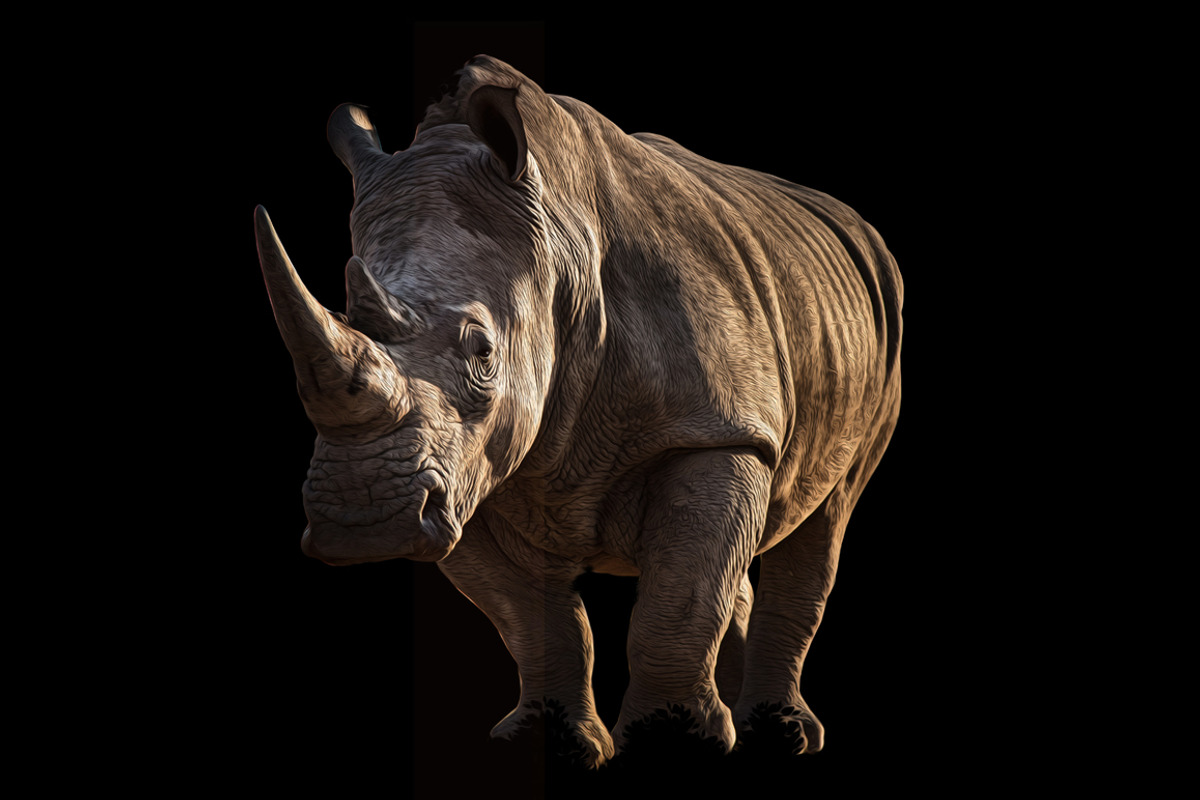 Endangered Rhinoceros Illustration, an Animal Illustration by Digital Art Downloads (Photo 3 of 3)