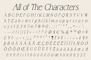 Bornean Pixel, a Serif Font by Craft Supply Co. (Thumbnail 8 of 8)