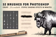 Stipple Brushes Photoshop And AI, a Brush Add-On by PaperMoon (Thumbnail 2 of 4)