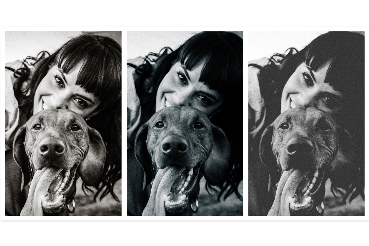 Iconic B&W Lightroom Presets preview 2
