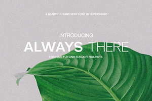 Always There | Sans Serif Font