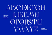 MOLAR - Modern Serif Typeface, a Serif Font by delipensil (Thumbnail 5 of 9)