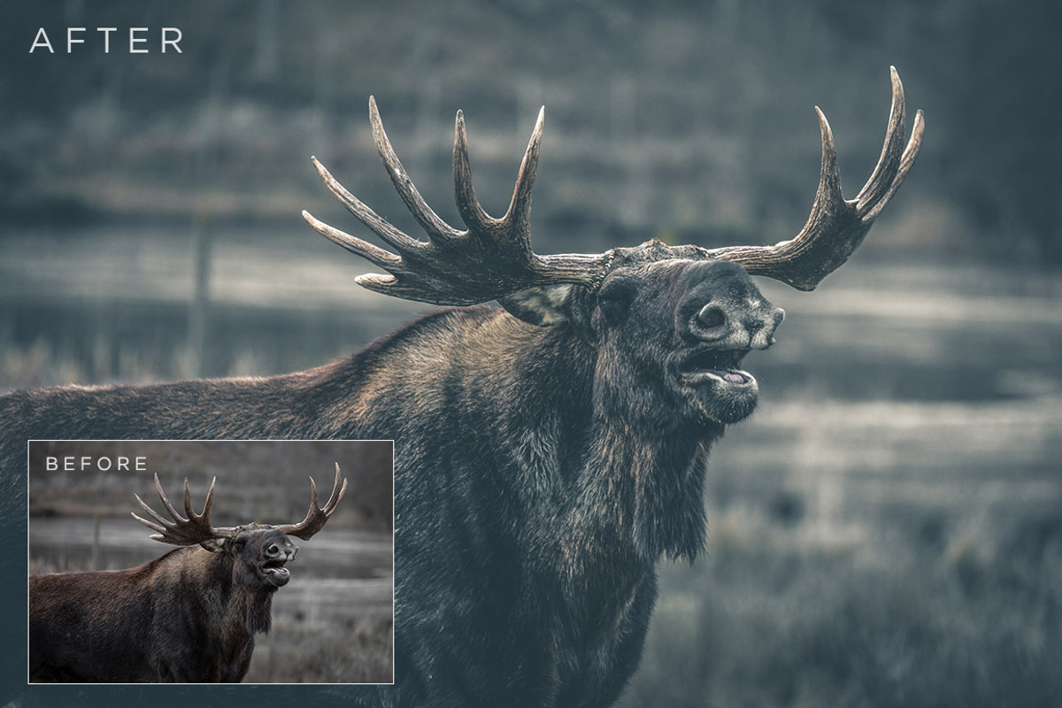 Matte Lightroom Presets Volume 1, a Preset Add-On by ShutterSweets (Photo 4 of 5)