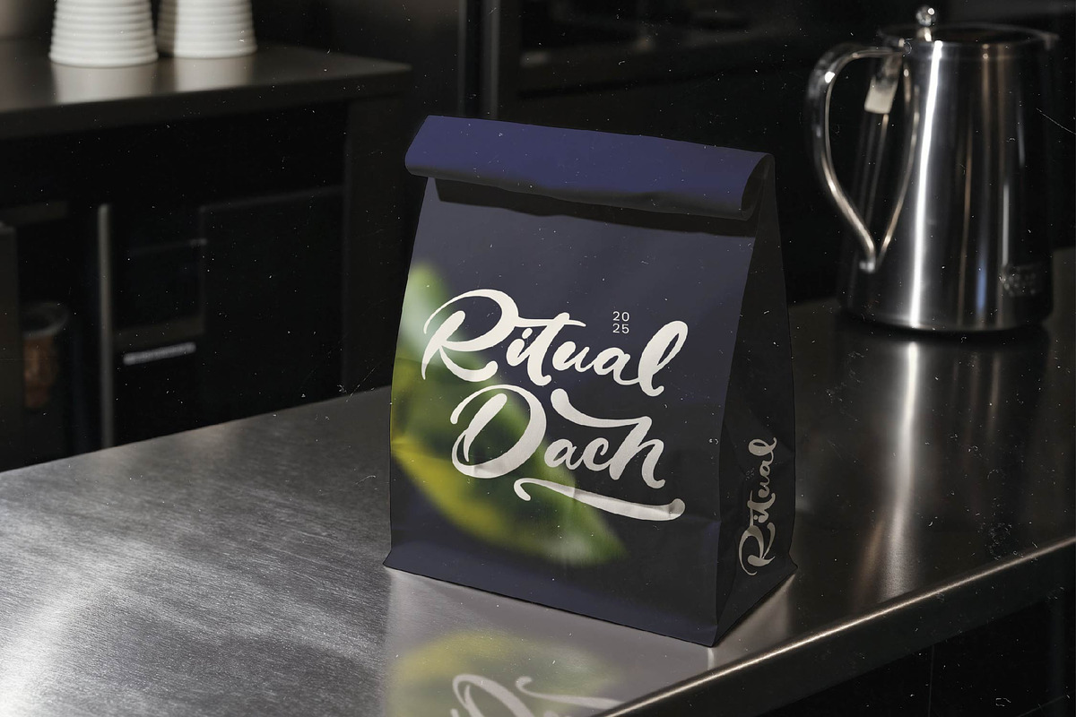 Drink South Bold Calligraphy Font, a Script Font by Letterena Studios Script (Photo 13 of 20)