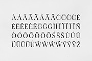 Arterio Font Family - Serif, a Serif Font by RC graphics (Thumbnail 3 of 9)