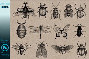 Photoshop Insect Brushes Tattoo Art