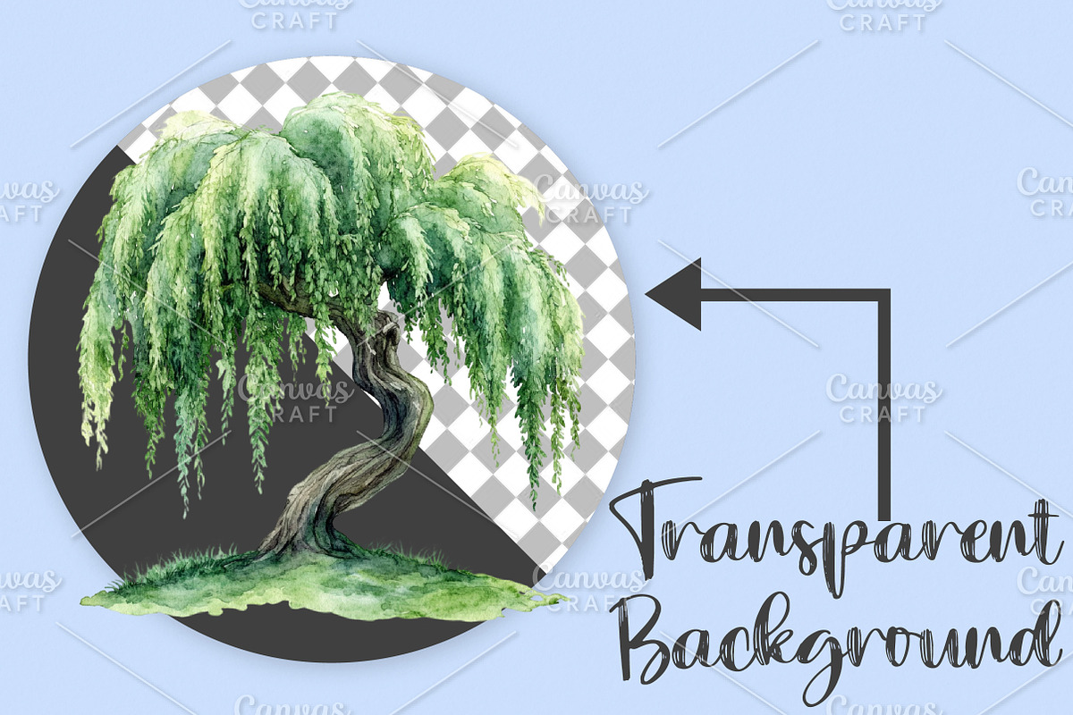 Watercolor Spring Tree Clipart PNG, an Illustration by Canvas Craft (Photo 2 of 7)