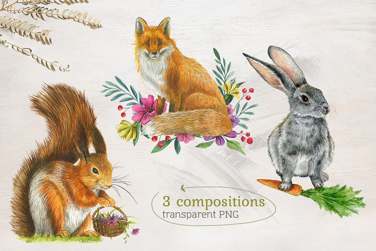 Forest Story Watercolor Collection, an Animal Illustration by Nastilustra (Photo 4 of 8)