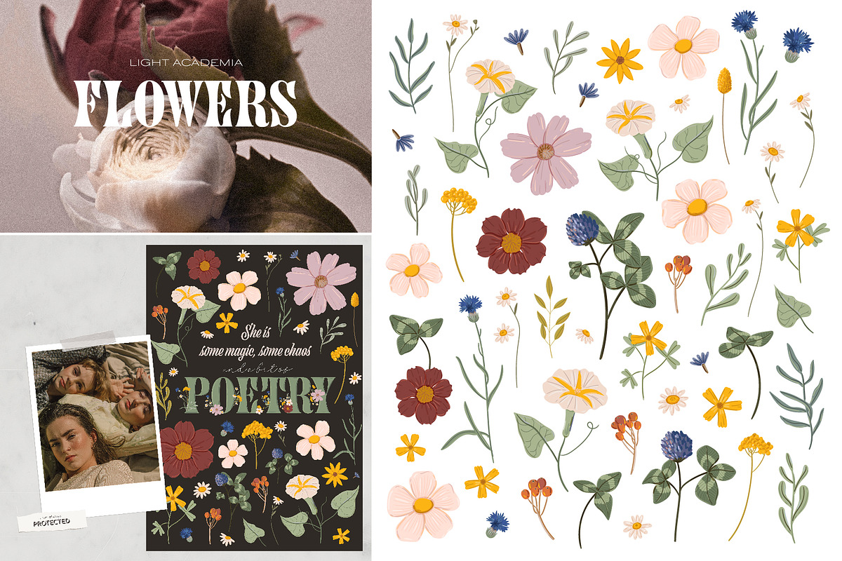 Botany & Halloween mystery BUNDLE, a Decorative Illustration by Ruslana Lubenets (Photo 32 of 47)