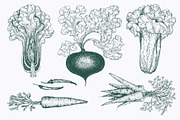 Vegetable Vector Collection, a Food Illustration by Lubov Illustrations Shop (Thumbnail 5 of 6)