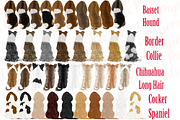 Dogs clipart,Dog Breeds Clipart,Pet, an Illustration by chilipapers (Thumbnail 2 of 4)