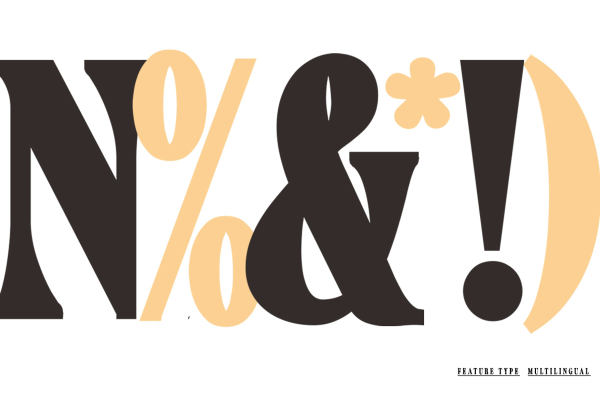 Nimuhinz, a Serif Font by AnayaStudio (Photo 7 of 8)