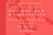 Gallient, a Serif Font by DYSA Studio (Thumbnail 15 of 15)