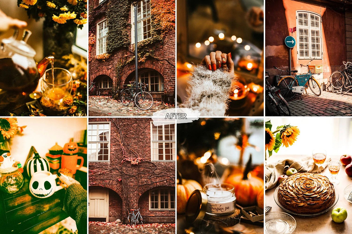 10 Crisp Leaves Lightroom Presets, a Preset Add-On by LucaTheme (Photo 2 of 9)