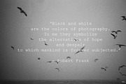 Black&White Archives ~ 92 HQ photos, a Templates & Theme by Barn Images (Thumbnail 2 of 7)