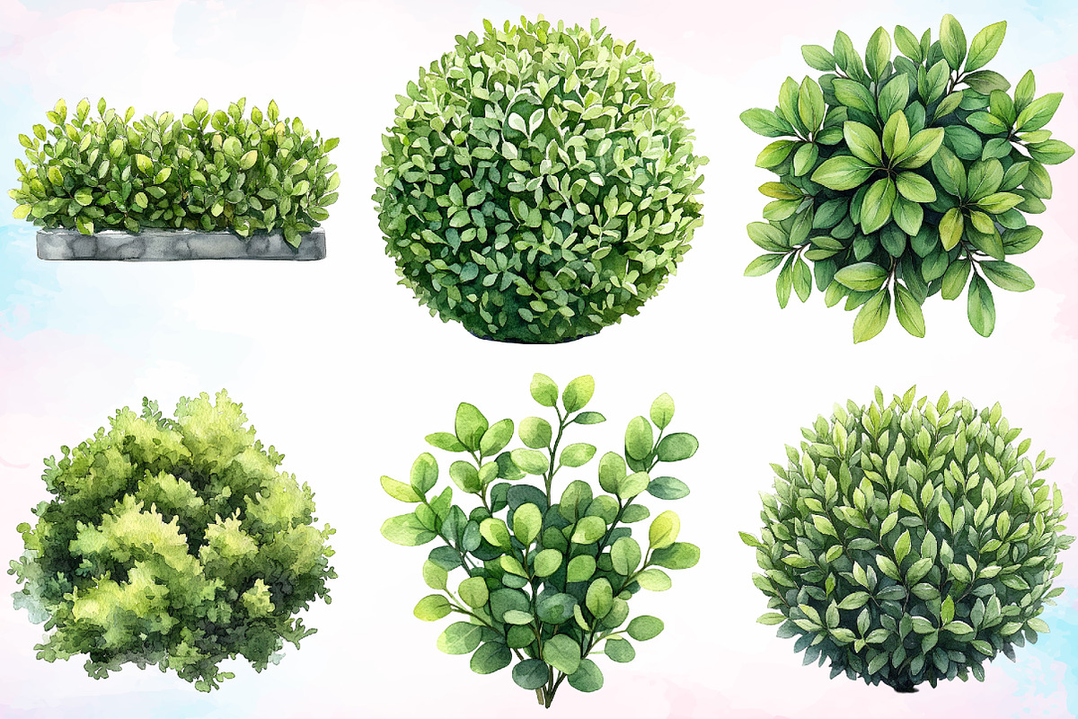 Watercolor Bushes Clipart Bundle, an Illustration by Canvas Craft (Photo 3 of 5)