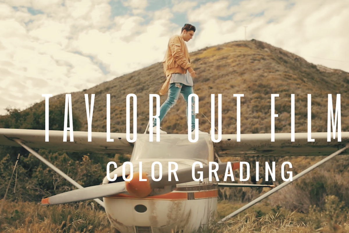 TaylorCutFilms Style LUT Presets, an Action Add-On by Quick Adobe Tutorials (Photo 2 of 2)