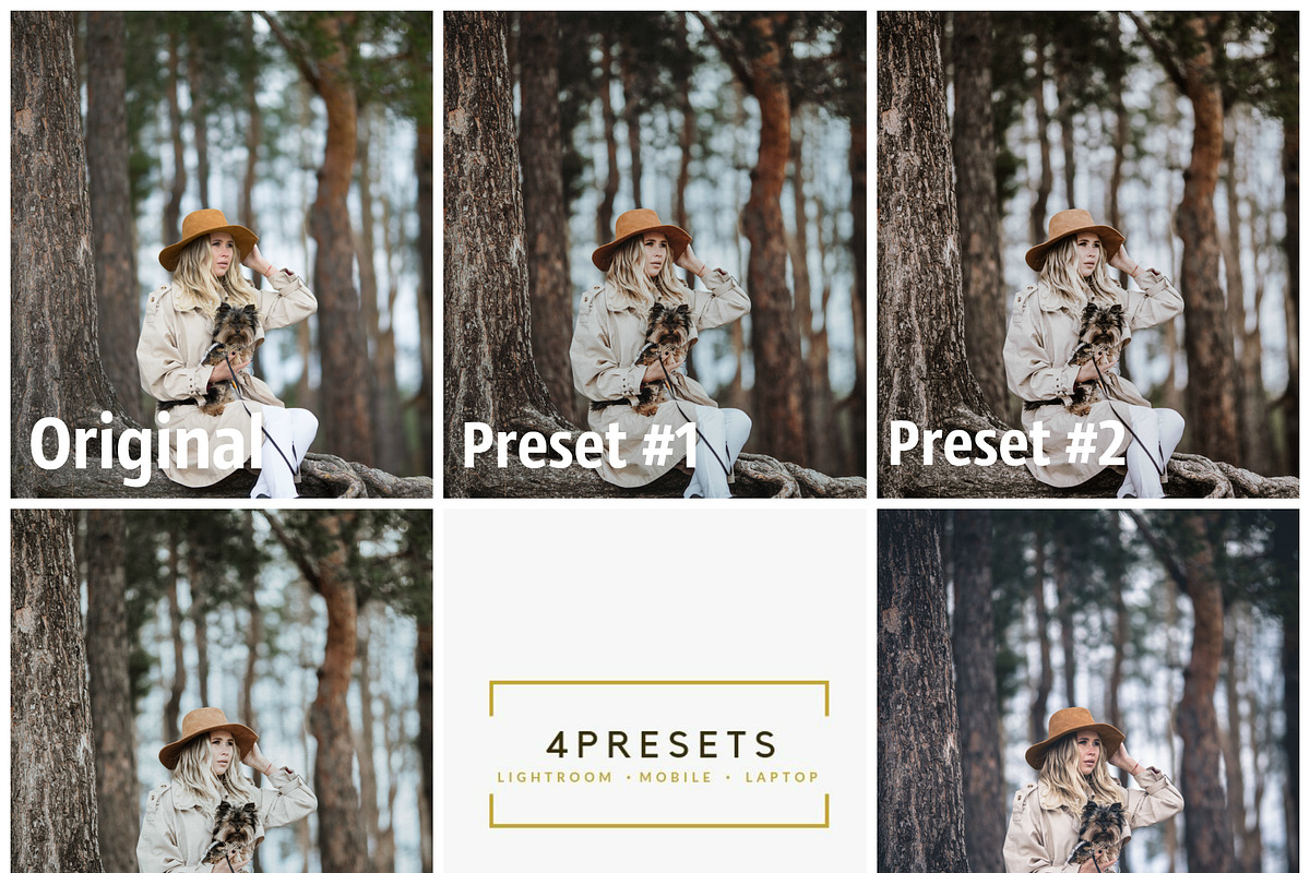 Mobile Lightroom Presets Gray tones, a Preset Add-On by 4presets (Photo 10 of 10)
