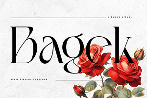 Bagek - Modern Display Serif