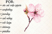 Watercolor Flower Clipart, an Illustration by Libby Wishes (Thumbnail 5 of 6)