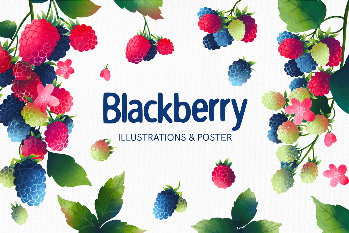 Blackberry fruits and leaves clipart, a Food Illustration by Harmony Draws (Photo 1 of 6)