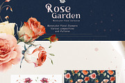 Watercolor Rose Collection, a Decorative Illustration by Damian Roh (Thumbnail 7 of 16)