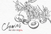 Nuts &  Health snacks, a Food Illustration by Ann Astro (Thumbnail 4 of 12)