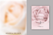 65 Soft Bloom Blur Backgrounds., a Background Graphic by TaPilipa (Thumbnail 8 of 9)