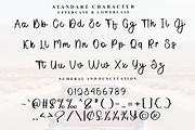 Absolute, a Handwritten Font by FreshTypeINK (Thumbnail 4 of 8)