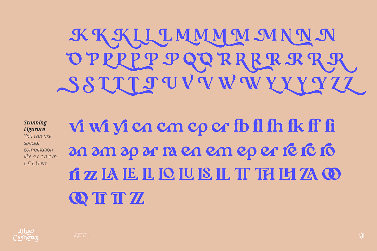 Blue Cashews, a Serif Font by Aluyeah Studio (Photo 14 of 14)