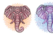 Vector elephant set, an Animal Illustration by IreneArt illustrations (Thumbnail 6 of 8)