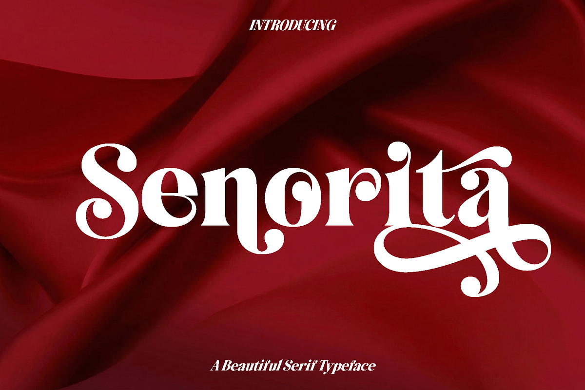 Senorita - Modern Serif Font, a Serif Font by Luna Shop (Photo 1 of 8)