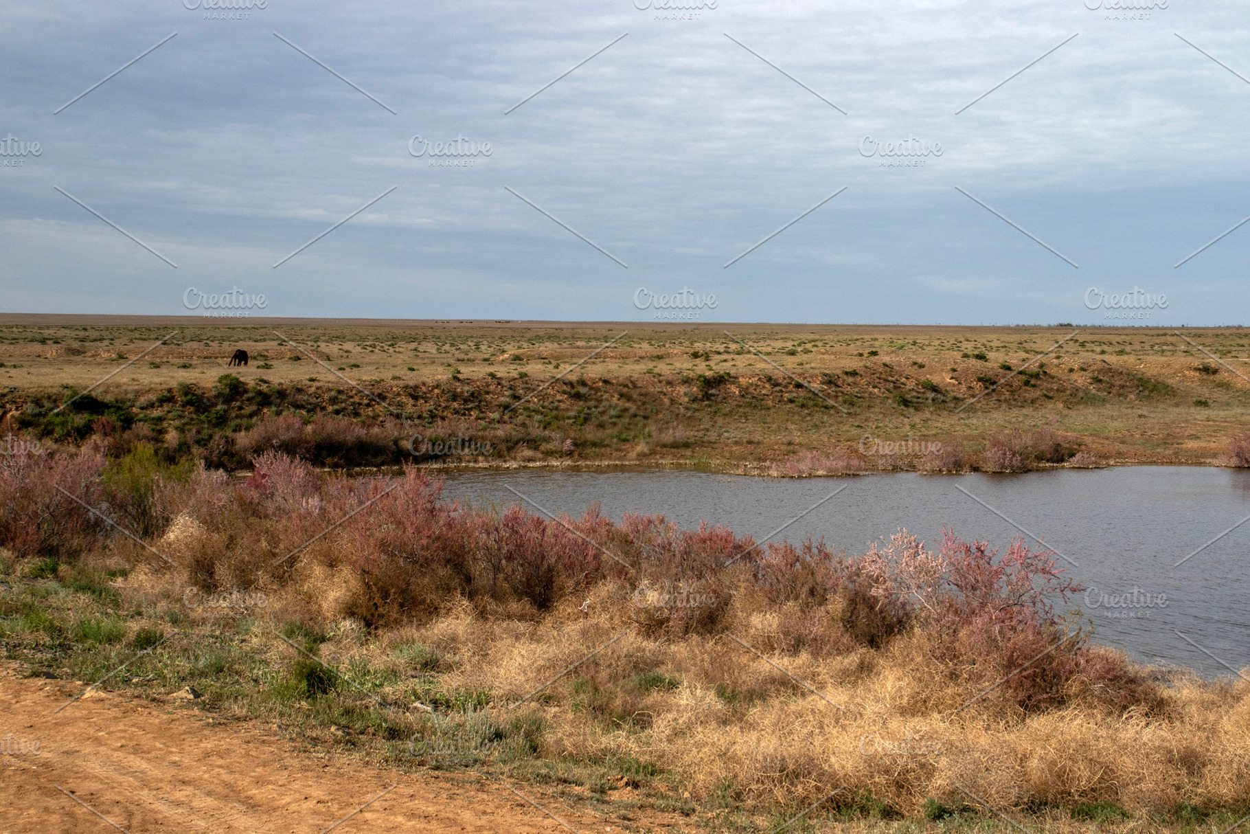 In the steppe under a cloudy sky, a Nature Photo by Schreibikus