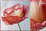 Delicate Silk Poppy Embroidery Art, a Decorative Illustration by yahu88studio (Thumbnail 7 of 7)