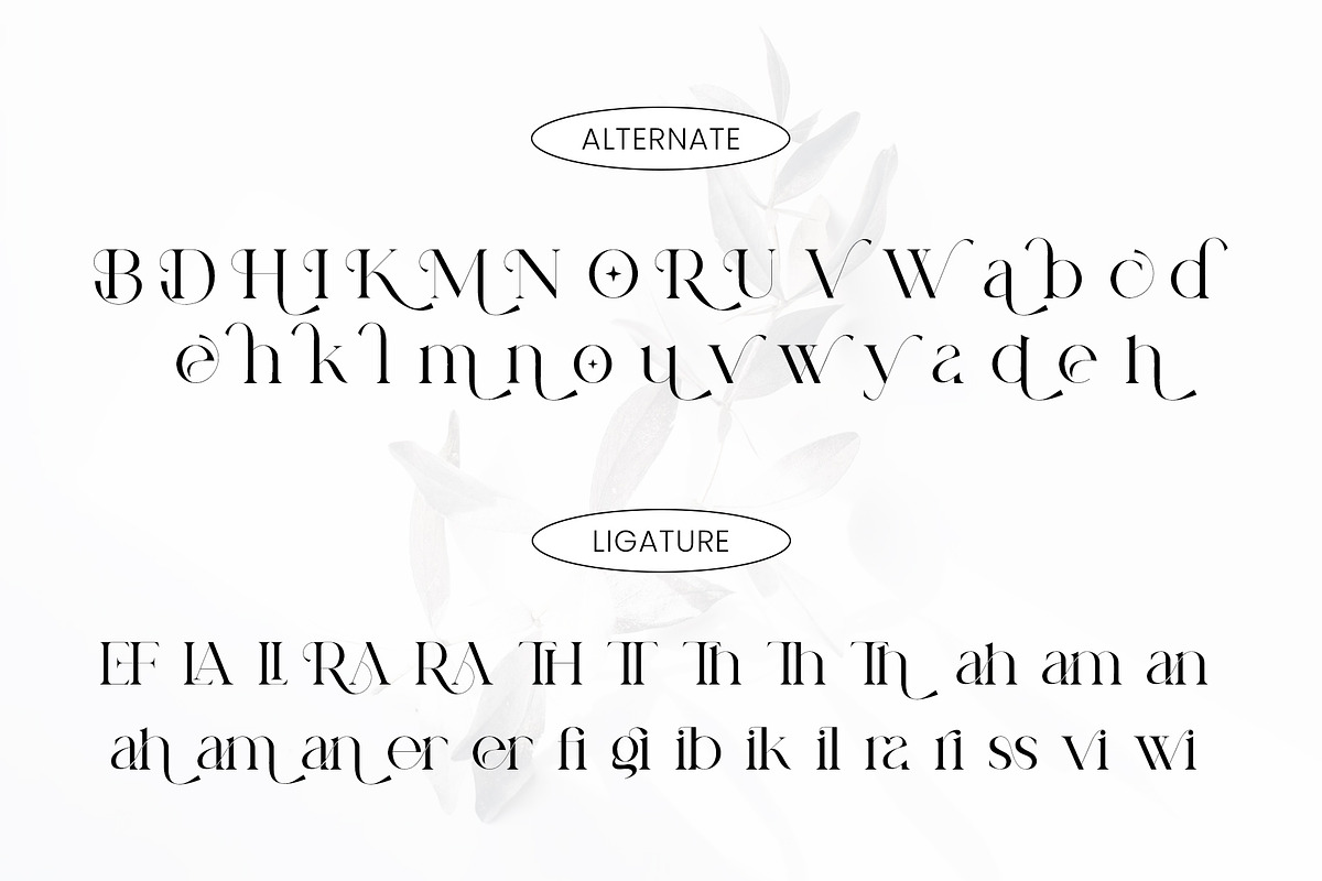 Rossile Serif Font, a Serif Font by Ermedia Studio (Photo 10 of 11)