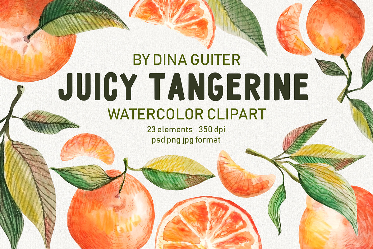 Watercolor Orange Fruit Clipart, a Food Illustration by Dina Guiter (Photo 1 of 10)