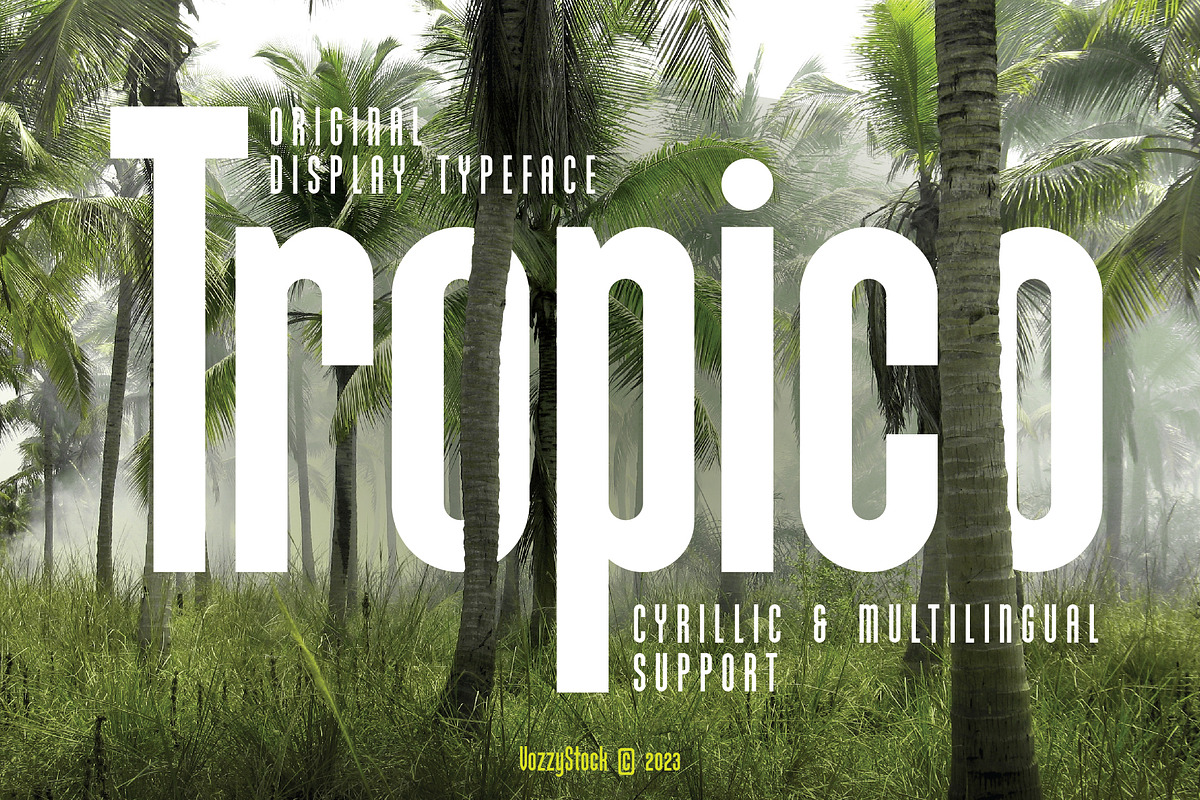 Tropico, a Blackletter Font by VozzyStock (Photo 1 of 8)