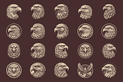 Vintage Hand-Drawn Eagle Designs, an Animal Illustration by devastd (Thumbnail 5 of 8)