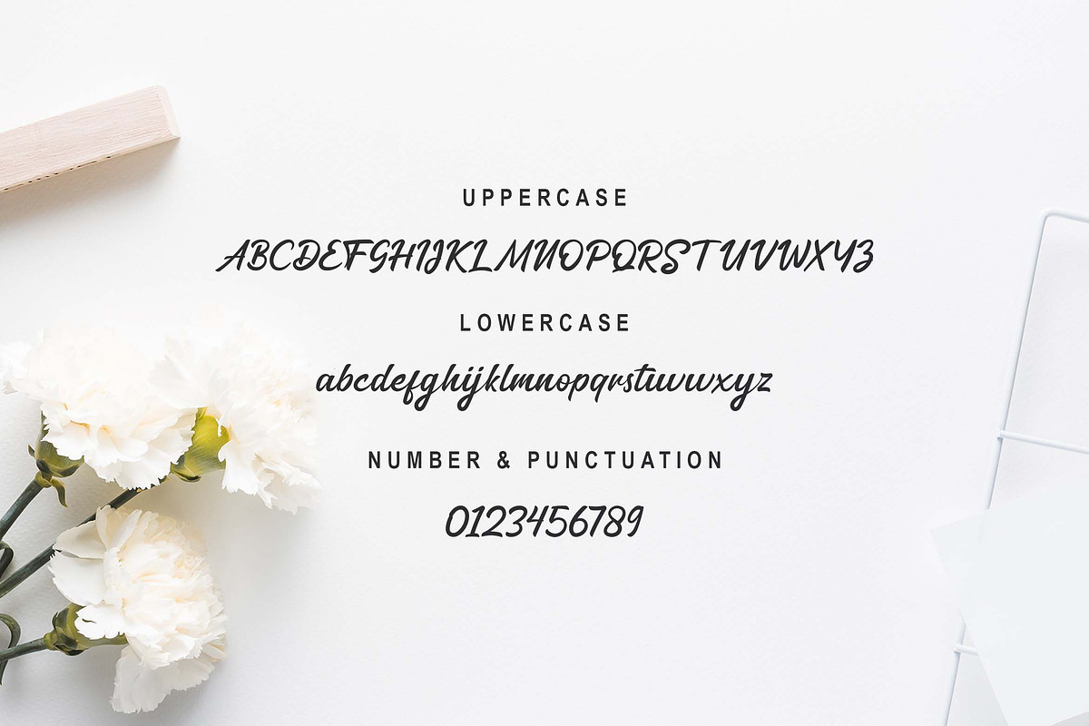 Kantan Font, a Script Font by Zelda Graphic (Photo 6 of 7)