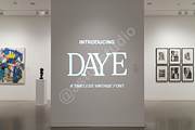 Daye Typeface: Modern Elegance for P, a Font by Astuti Studio (Thumbnail 1 of 16)