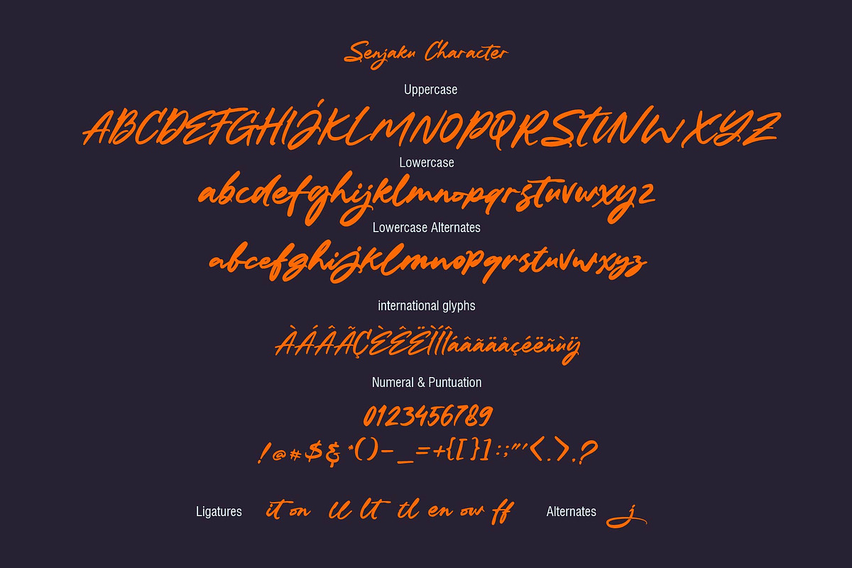 Senjaku - Handlettered, a Script Font by Olexstudio (Photo 8 of 8)