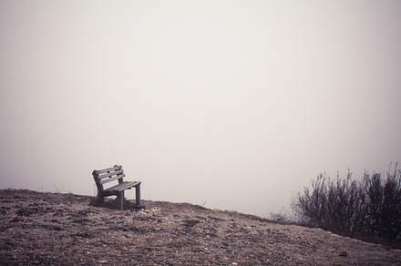 End Of The World Tree Stock Photo Containing Fog And Foggy preview 5