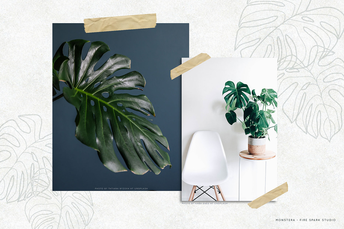 Monstera Leaf Vectors and Patterns, an Object Graphic by Fire Spark Studio (Photo 2 of 6)