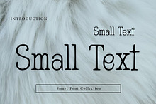 Small Text