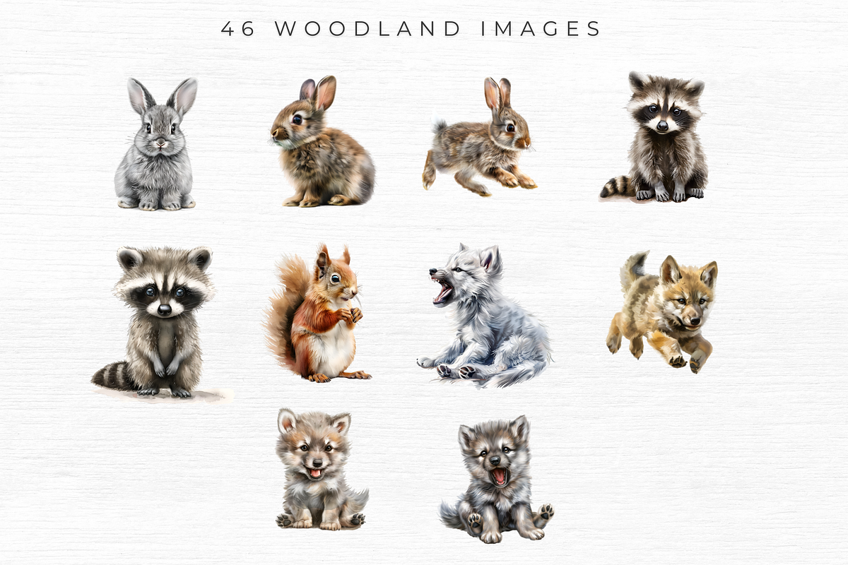Woodland Animal Clipart, an Animal Illustration by EllyandLima (Photo 5 of 7)