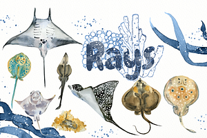Watercolour Ray Set