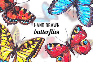 Hand Drawn Butterfly Set