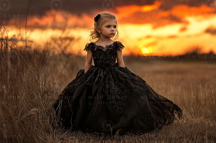 Sunset Field Digital Backdrop