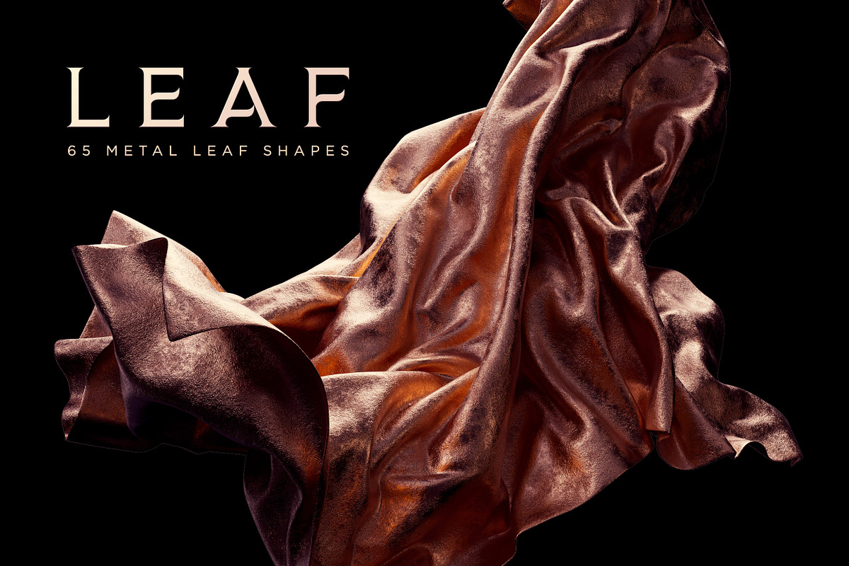 Leaf: 65 Metal Leaf Shapes, an Object Graphic by RuleByArt (Photo 1 of 19)